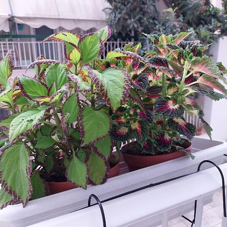 Athens Lovio Apartment Esterno foto