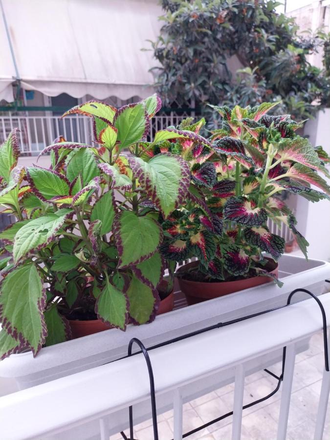 Athens Lovio Apartment Esterno foto